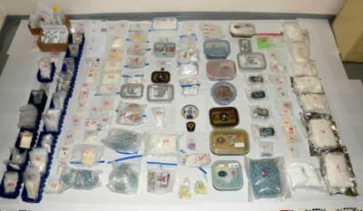 Drugs seized by the feds